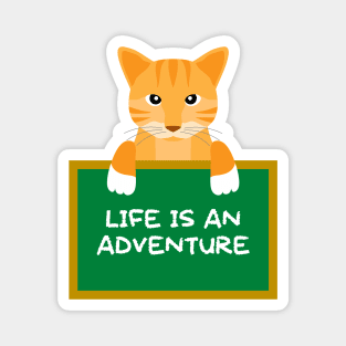 Advice Cat - Life Is An Adventure Magnet