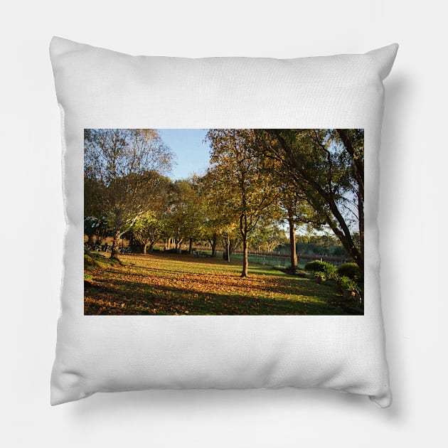 Autumn Leaves - Magpie Springs - Adelaide Hills - Fleurieu Peninsula by South Australian artist Avril Thomas Pillow by MagpieSprings