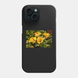 Nemesia Sundrops Phone Case