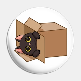 Cat in the box Pin