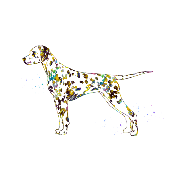 Dalmatian dog by erzebeth