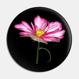 blooming pink flower, bloom, flowers, petals, blooms Pin