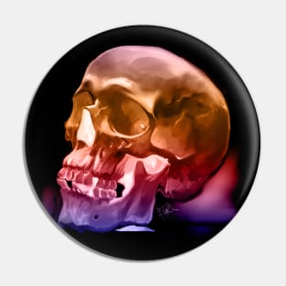 Skull Study 4 Pin