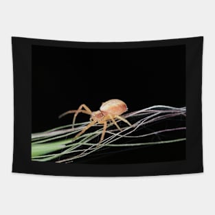 Small crab spider Tapestry