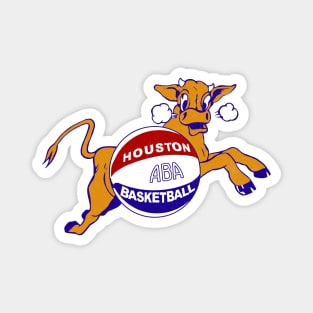 Defunct - Houston ABA Basketball 1969 Magnet