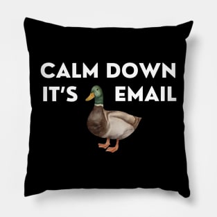 CALM DOWN, IT'S DUCKING EMAIL Pillow