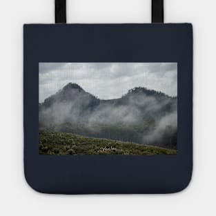 Cathedral Range, Taggerty, Victoria, Australia. Tote