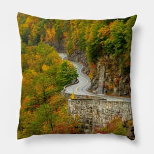 Hawk's Nest in Autumn Pillow