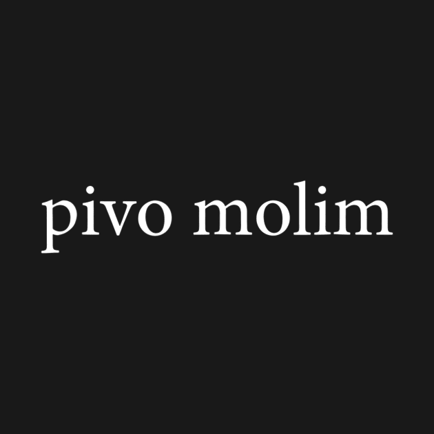 Pivo Molim Beer Please Croatian Language Vacation by danielfarisaj