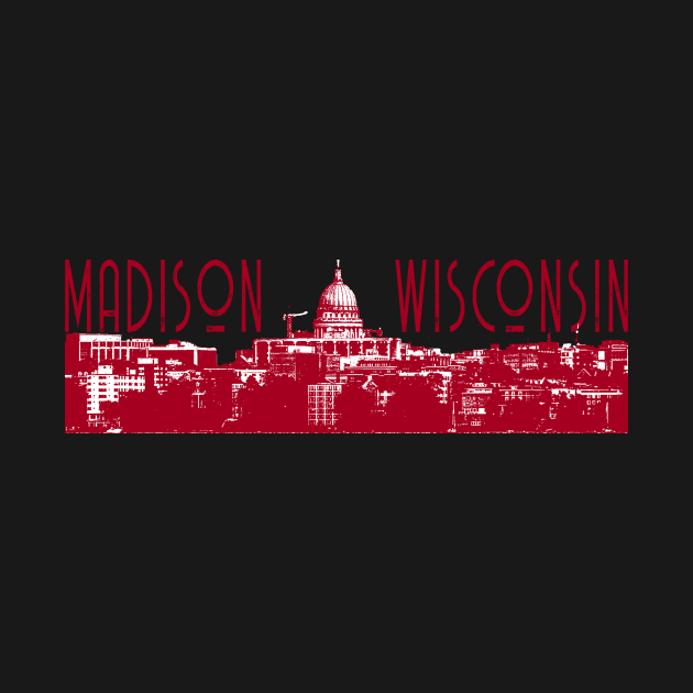 Madison Wisconsin Skyline by zsonn