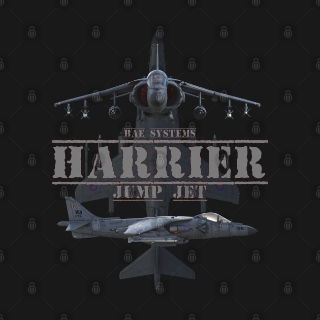 harrier jump jet by Dingo Digital