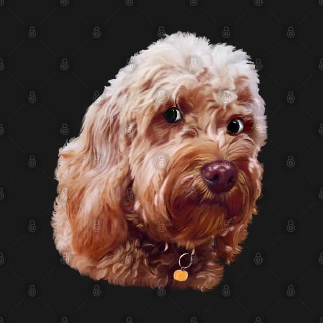 Cute Cavapoo Cavoodle puppy dog side eye Face  - cavalier king charles spaniel poodle, puppy love by Artonmytee