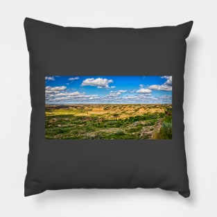 Theodore Roosevelt National Park Pillow