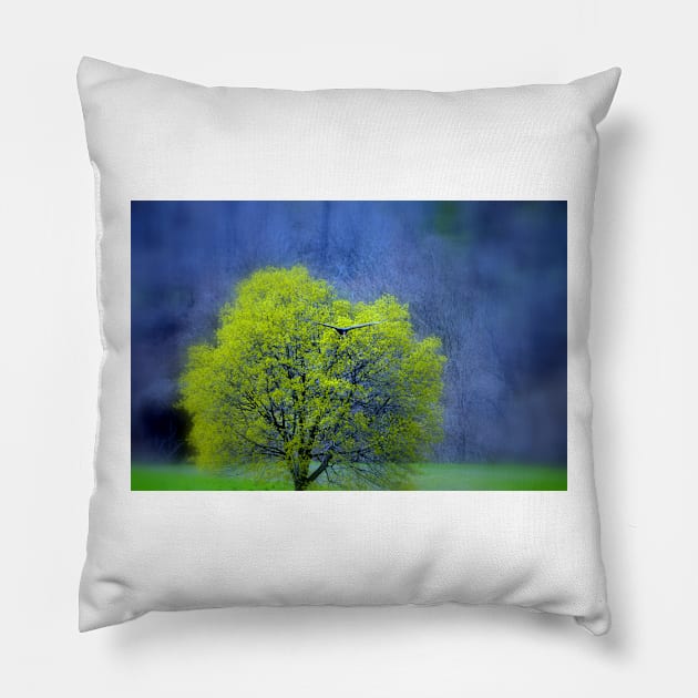 Lone Tree Pillow by LaurieMinor