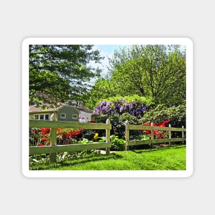 Spring Garden With Wisteria Magnet