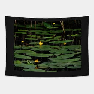 Night Descends On The Lily Pond Tapestry