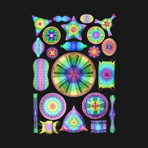 Ernst Haeckel Rainbow Diatoms by Scientistudio