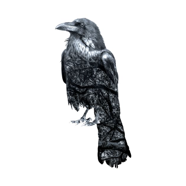 Double Exposure Crow & Tree Branches by SingeDesigns