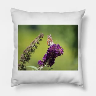 Butterfly With Flowers Pillow