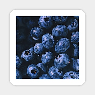 Blueberry Magnet