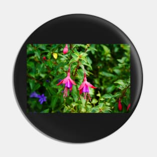 Fuchsia Flowers Closeup Pin