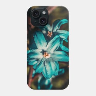 Glory of the Snow Flower, Macro Photograph Phone Case