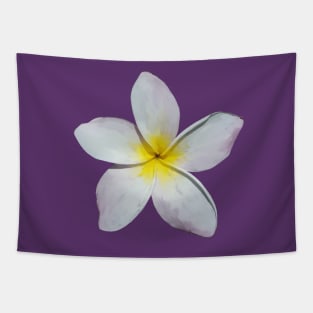 Plumeria Blossom Tapestry