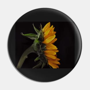 Sunflower Magic / Girasol Mágico Pin