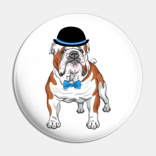 Hipster dog English Bulldog breed Pin