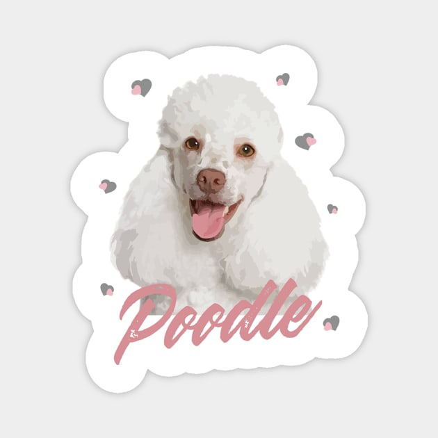 Beautiful White Standard Poodle! Especially for Poodle Lovers! Magnet by rs-designs