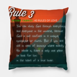 40 RULES OF LOVE - 3 Pillow