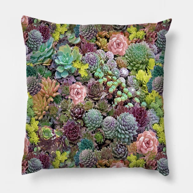 Succulents Pink Pillow by My Petal Press