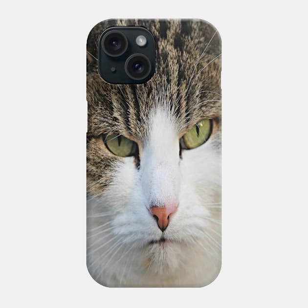 Norwegian Forest Cat Face Close Up Phone Case by familycuteycom