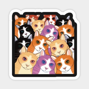 The Cats are watching you Magnet