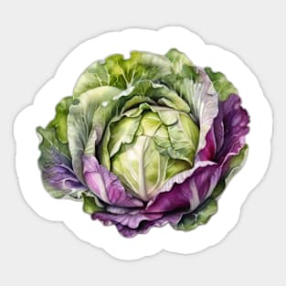 Cabbage Creative — Polaroid - Sticker
