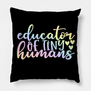 Educator - funny teacher joke/pun #2 Pillow