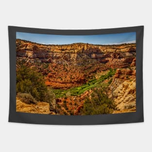 Utah Route State 12 Scenic Drive Tapestry