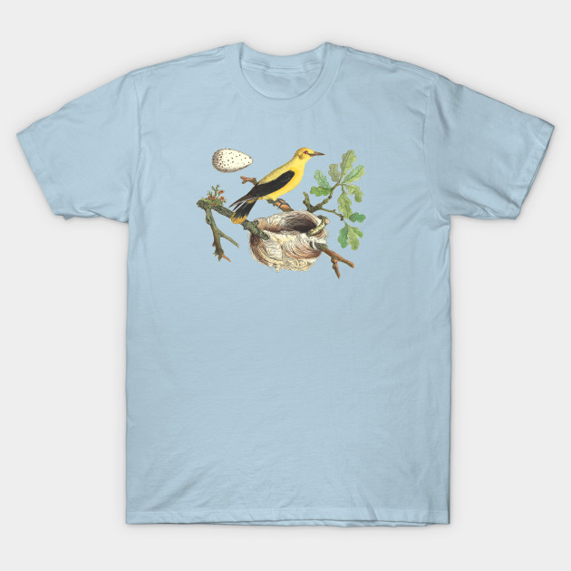 Disover Oriole Bird Wildlife Illustration - Bird Illustration - T-Shirt