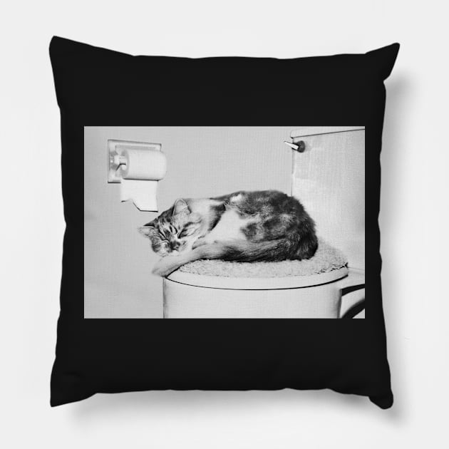 Asleep On The Throne Pillow by LaurieMinor