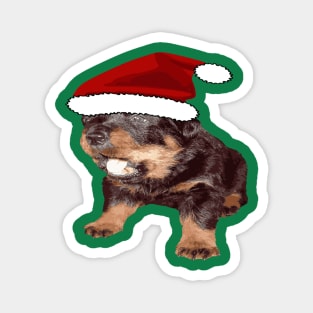 Cute Christmas Rottweiler With Red Santa Hat Magnet