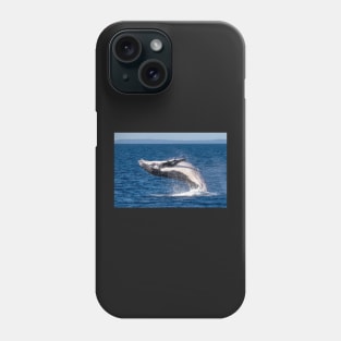 Humpback Whale, Hervey Bay, Queensland Phone Case