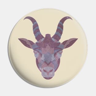 Capricorn Astrological sign Pin