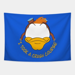 Launchpad McQuack - I took a crash course Tapestry