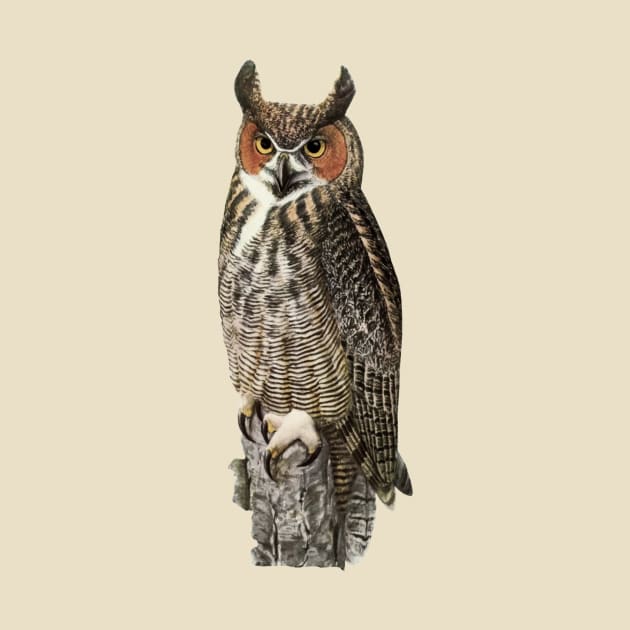 Great Horned Owl by She Gets Creative