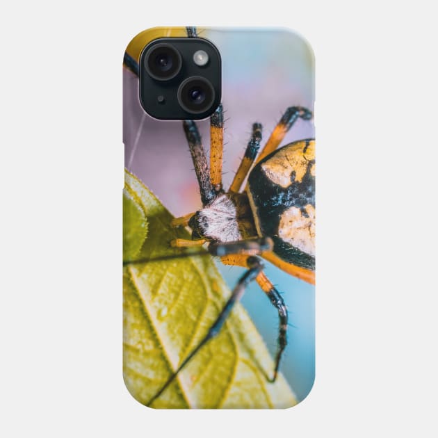 Black & Yellow Argiope Orbweaver Spider. Macro Photograph Phone Case by love-fi