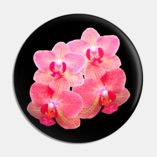 orchid floral orchids flower tendril Pin