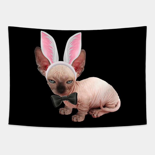 White Sphynx Cat In The Easter Bunny Costume White Sphynx Cat In
