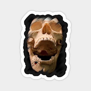 Skull Magnet