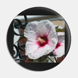 Hibiscus Pin