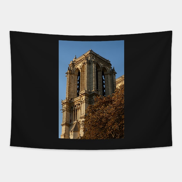 Notre-Dame Tapestry by AlexaZari